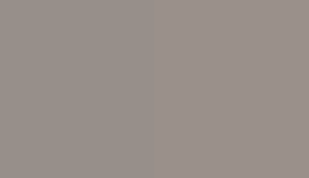 HEX #978F8A to RAL 060 60 05