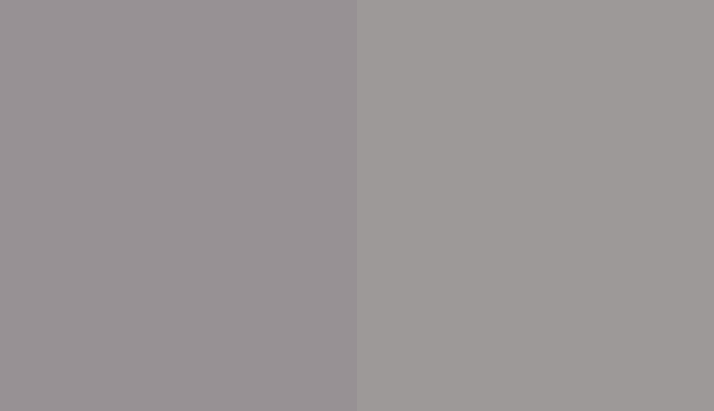 HEX #979194 to RAL 7036