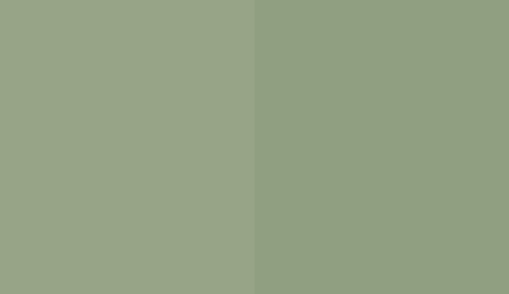 HEX #97A487 to RAL 6021