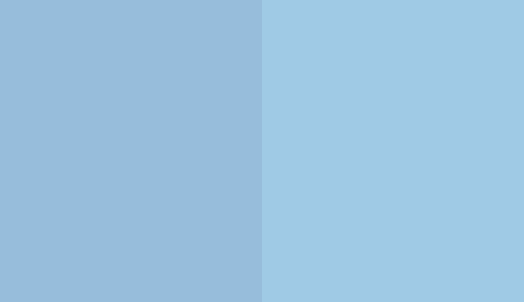 HEX #97BDDB to RAL 250 80 20 HEX #97BDDB to RAL 250 80 20