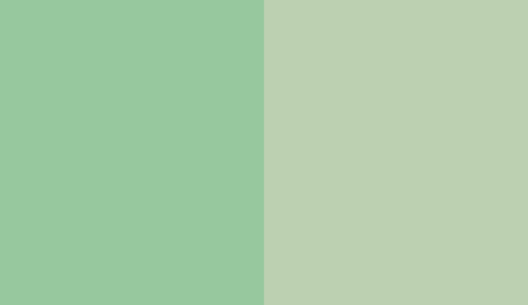 HEX #97C89E to RAL 6019