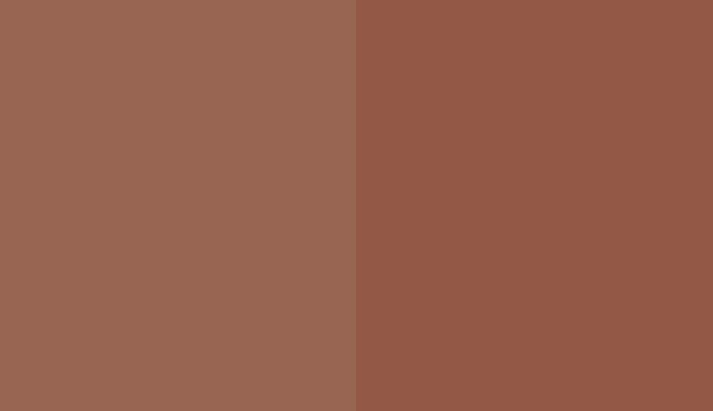 HEX #986553 to RAL 8004