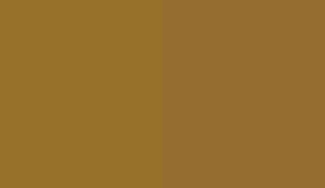 HEX #98722B to RAL 080 50 40