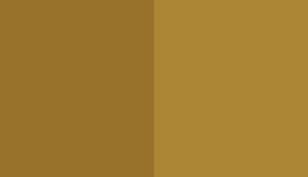 HEX #98722B to RAL 1027