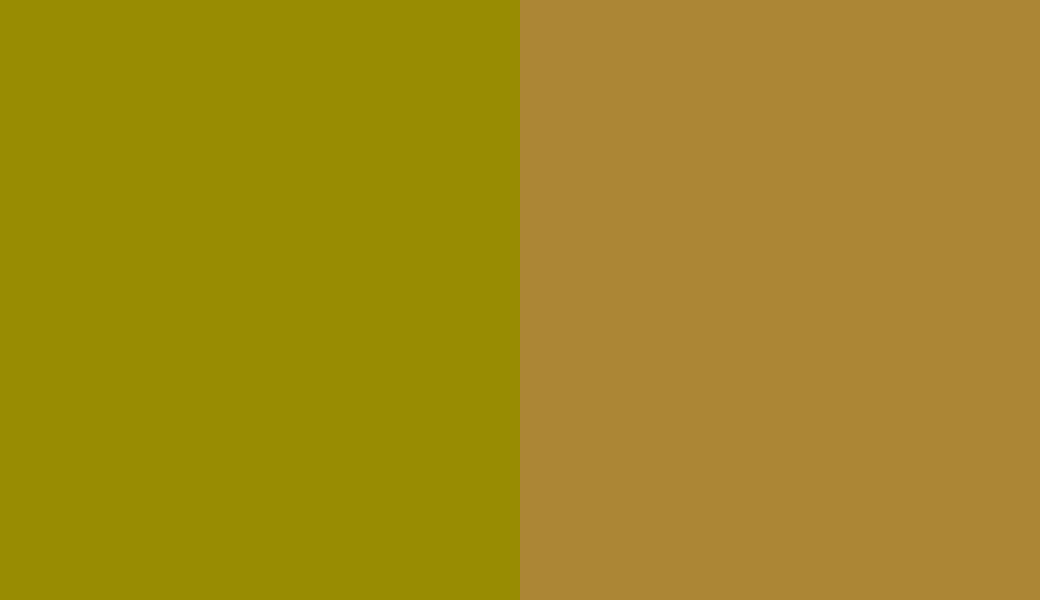 HEX #988C02 to RAL 1027 HEX #988C02 to RAL 1027