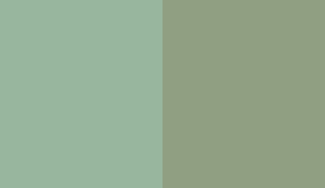 HEX #98B69D to RAL 6021 HEX #98B69D to RAL 6021