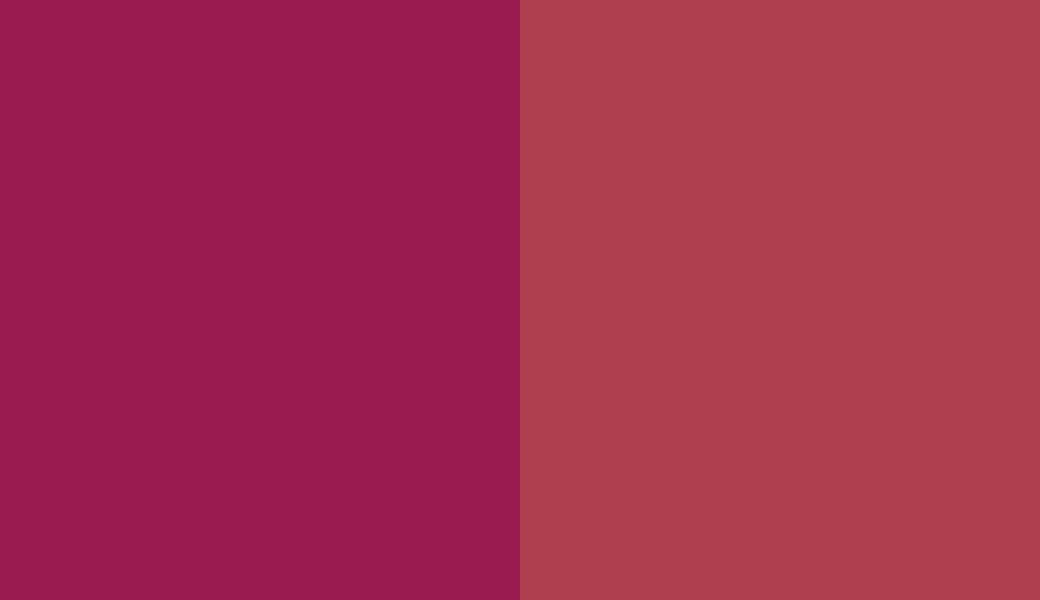 HEX #991B4F to RAL 3027