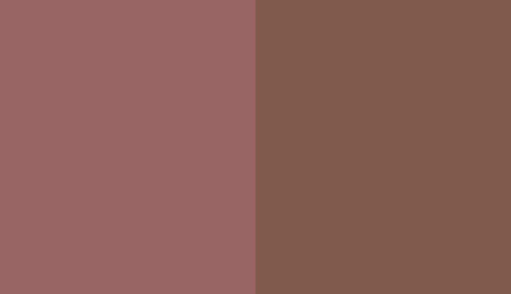 HEX #996464 to RAL 8002