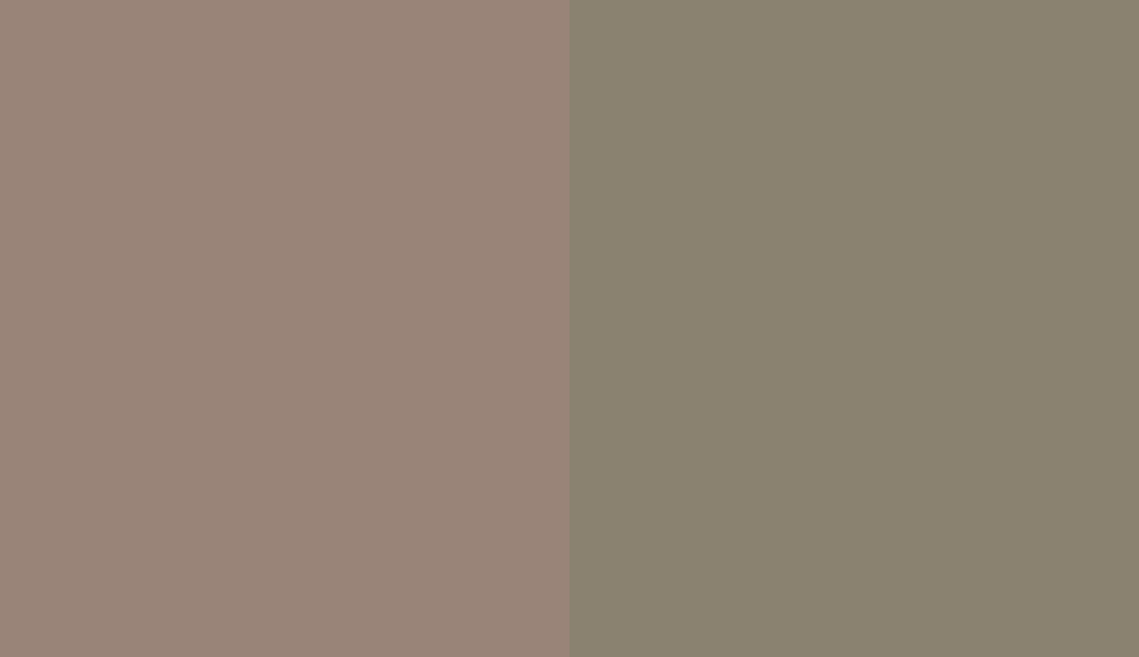 HEX #998478 to RAL 7002