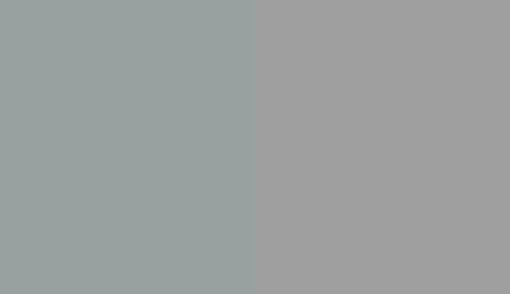 HEX #99A1A0 to RAL 9022