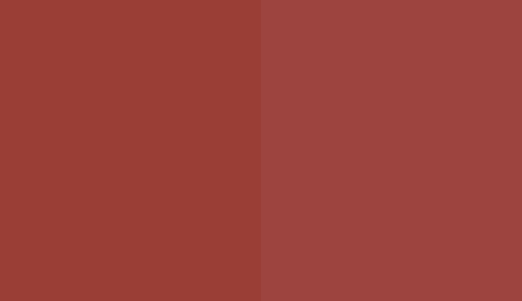 HEX #9A3E36 to RAL 3013