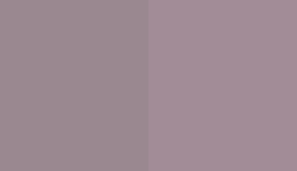 HEX #9A8890 to RAL 4009 HEX #9A8890 to RAL 4009