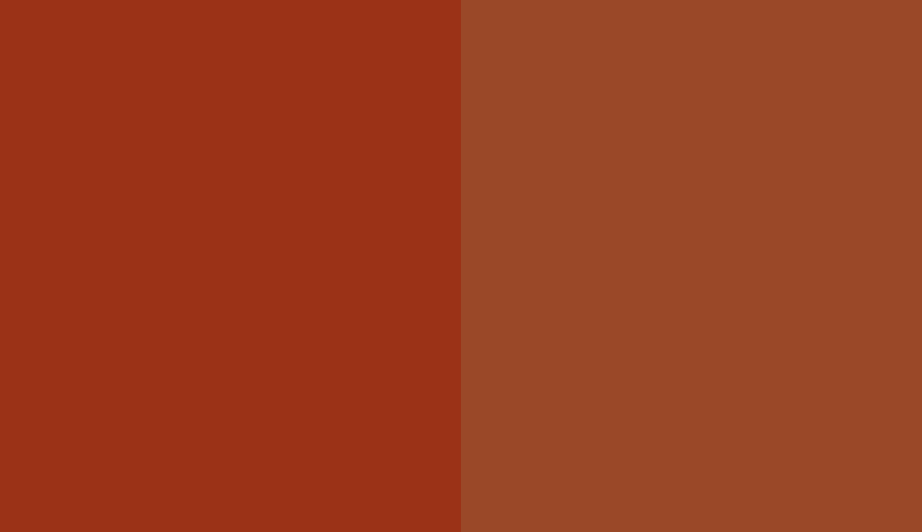 HEX #9B3217 to RAL 2013