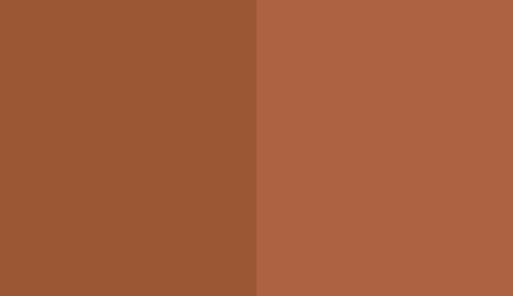 HEX #9B5733 to RAL 050 50 40 HEX #9B5733 to RAL 050 50 40