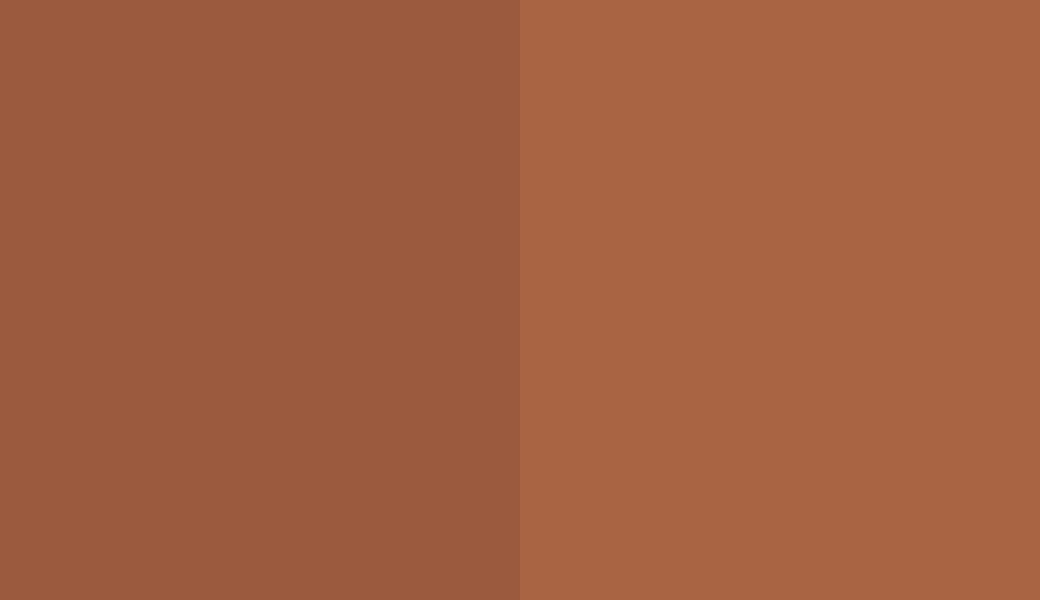 HEX #9B593D to RAL 8023