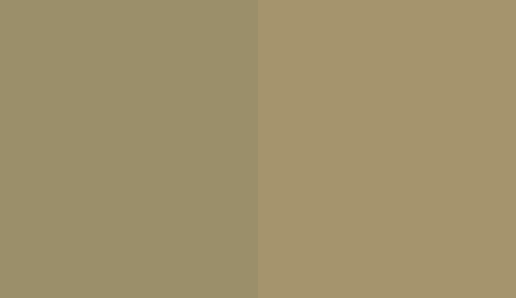 HEX #9B8F6A to RAL 1020