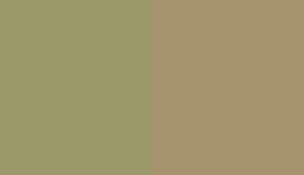 HEX #9B9969 to RAL 1020