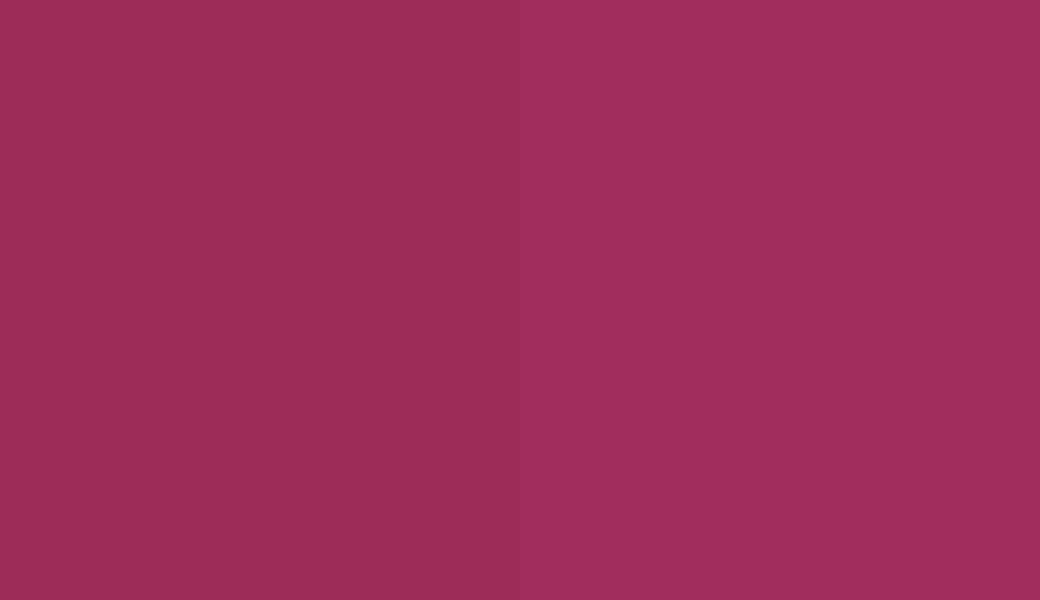 HEX #9D2C58 to RAL 360 40 50
