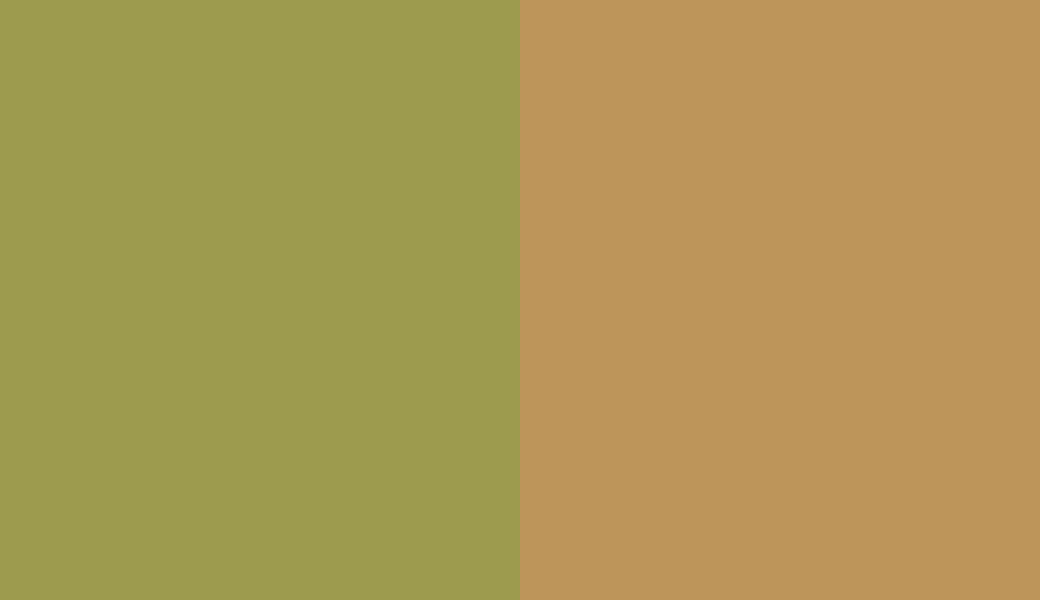 HEX #9D9B4E to RAL 1024 HEX #9D9B4E to RAL 1024