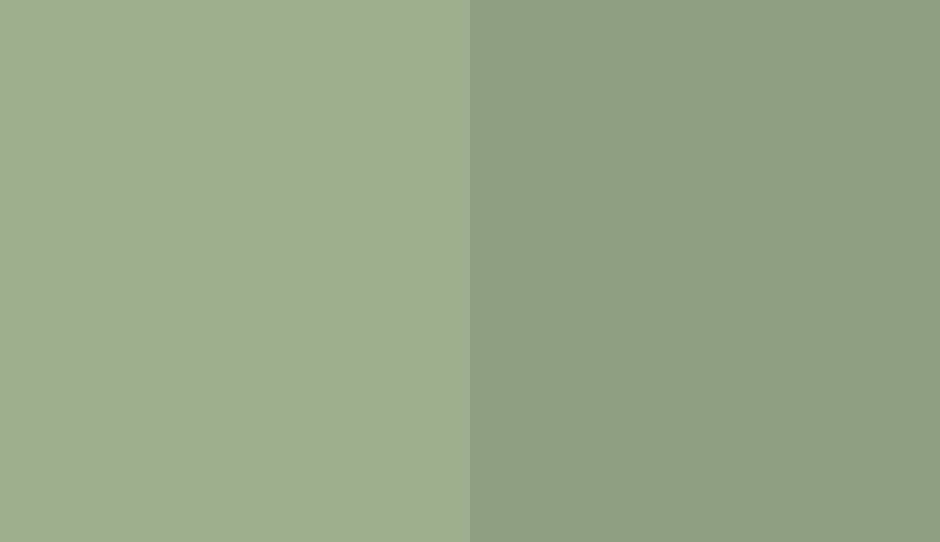 HEX #9DAE8F to RAL 6021