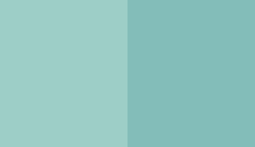 HEX #9DCEC7 to RAL 6027