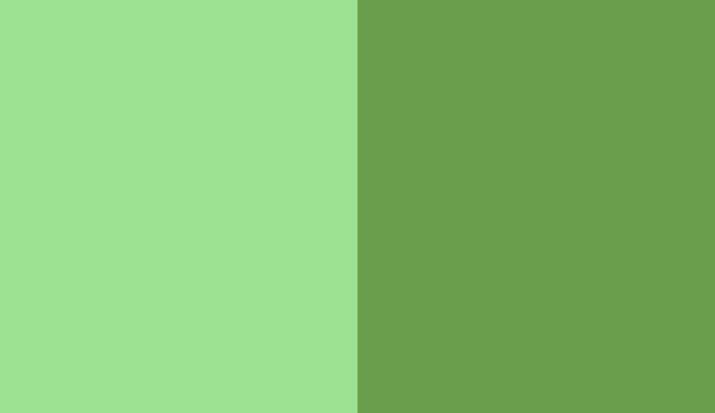 HEX #9DE093 to RAL 6018