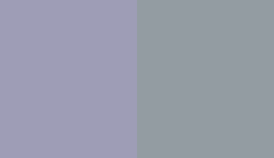HEX #9E9DB6 to RAL 7001