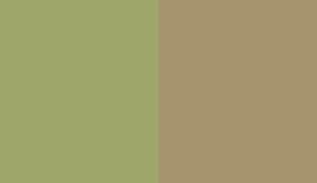 HEX #9EA669 to RAL 1020