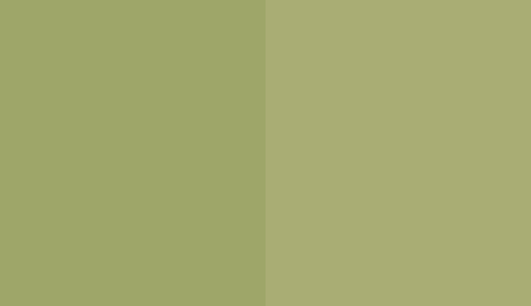 HEX #9EA669 to RAL 110 70 30