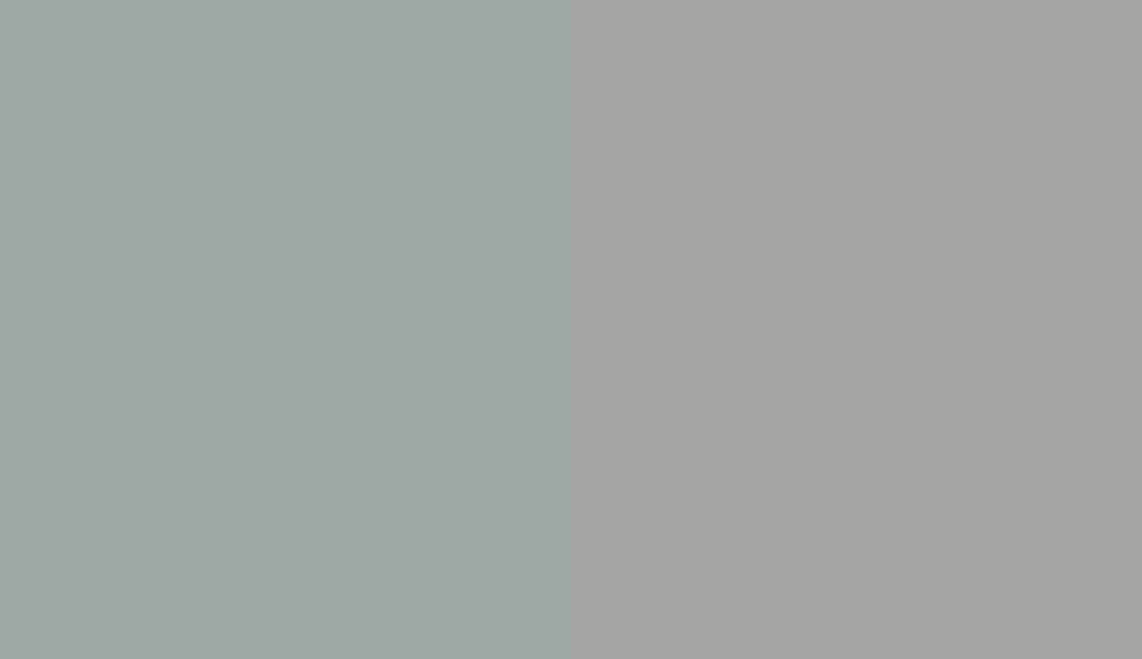 HEX #9EA9A5 to RAL 9006 HEX #9EA9A5 to RAL 9006