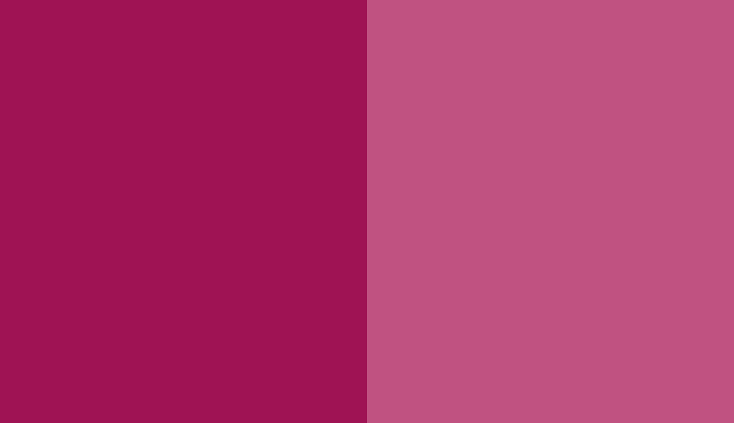 HEX #9F1354 to RAL 4010
