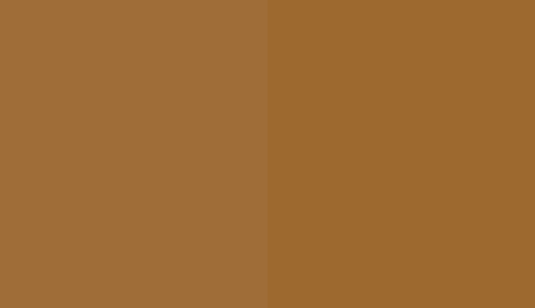 HEX #9F6D38 to RAL 070 50 40 HEX #9F6D38 to RAL 070 50 40
