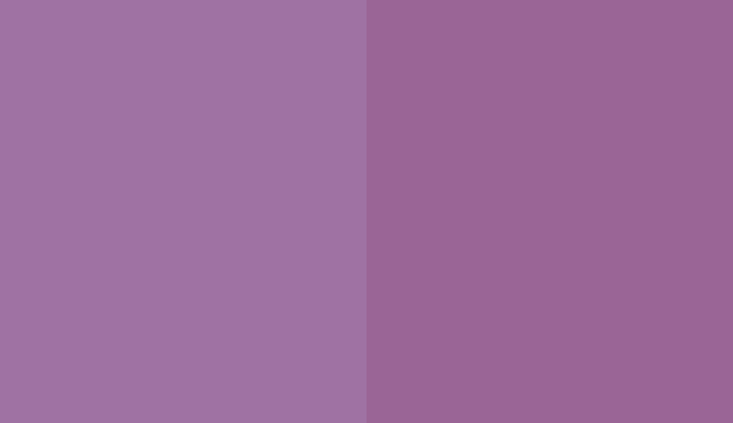HEX #9F72A3 to RAL 330 50 35 HEX #9F72A3 to RAL 330 50 35