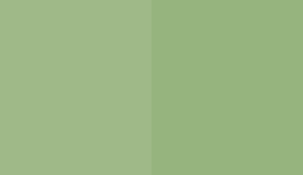 HEX #9FB988 to RAL 130 70 30