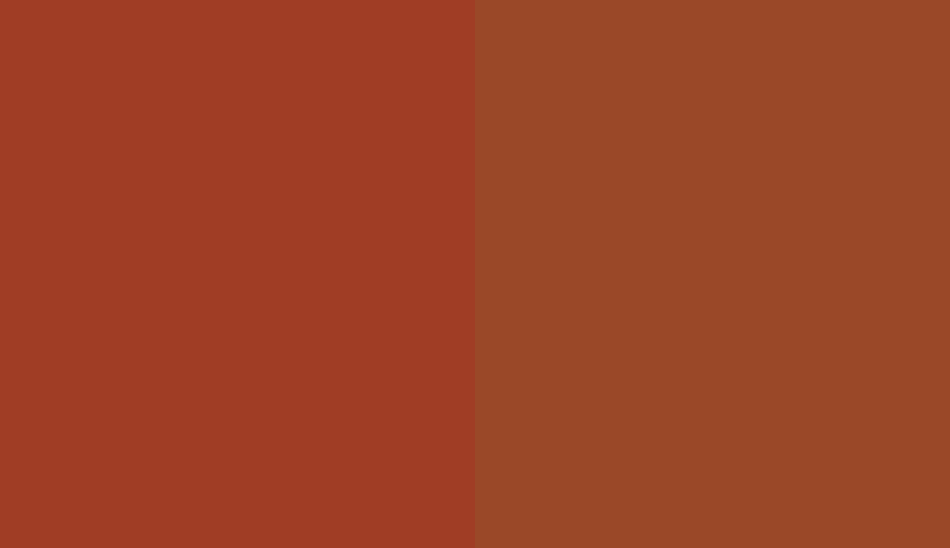 HEX #A03D25 to RAL 2013