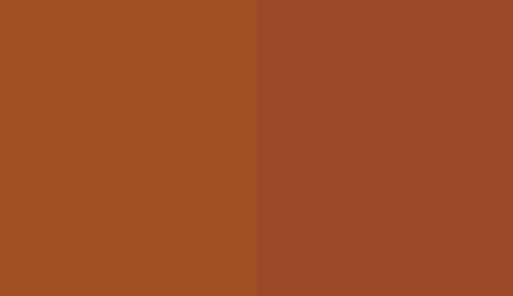HEX #A05022 to RAL 2013 HEX #A05022 to RAL 2013