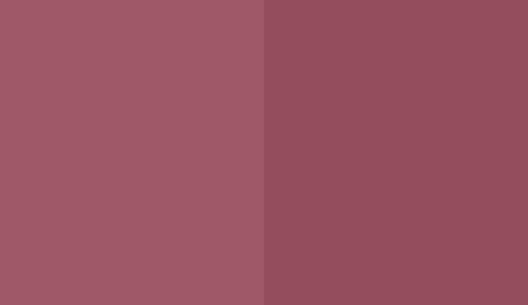 HEX #A05966 to RAL 4002