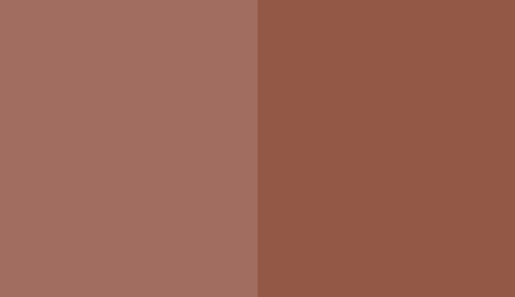HEX #A16D60 to RAL 8004