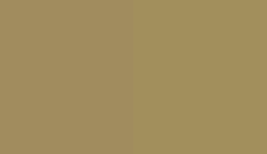 HEX #A18C5E to RAL 090 60 30 HEX #A18C5E to RAL 090 60 30