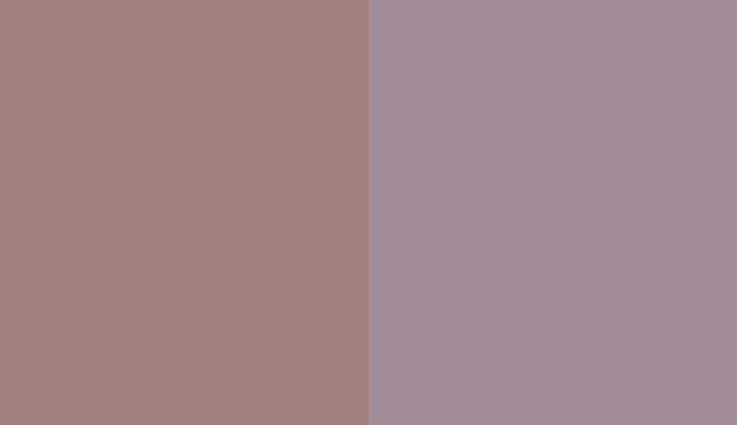 HEX #A37E7F to RAL 4009 HEX #A37E7F to RAL 4009