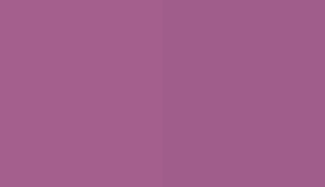 HEX #A45F8D to RAL 340 50 35 HEX #A45F8D to RAL 340 50 35