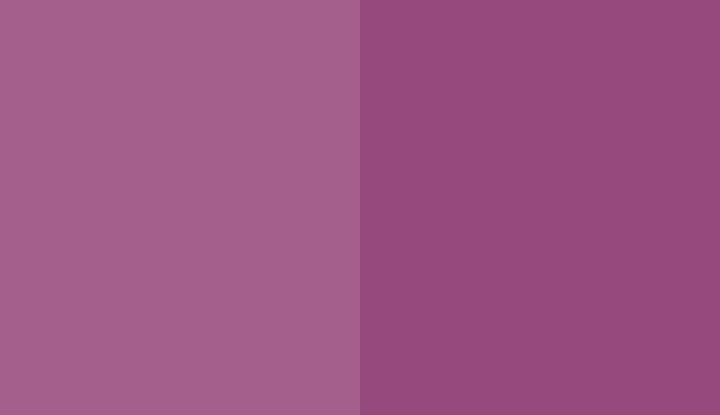HEX #A45F8D to RAL 4006 HEX #A45F8D to RAL 4006