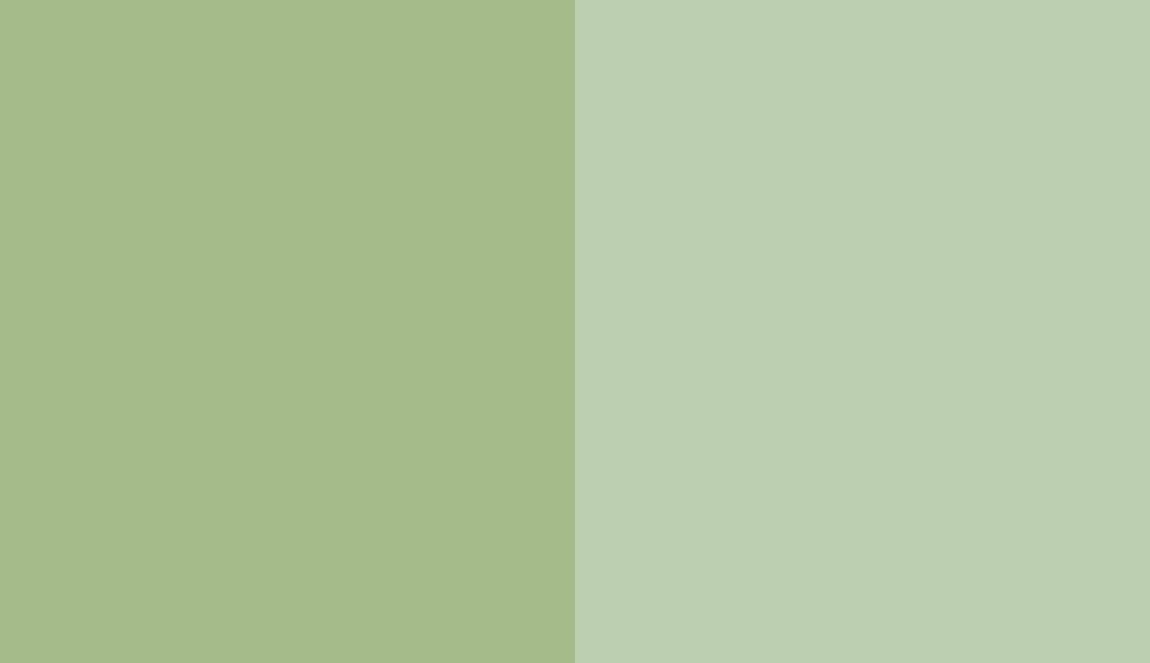 HEX #A4BC8A to RAL 6019