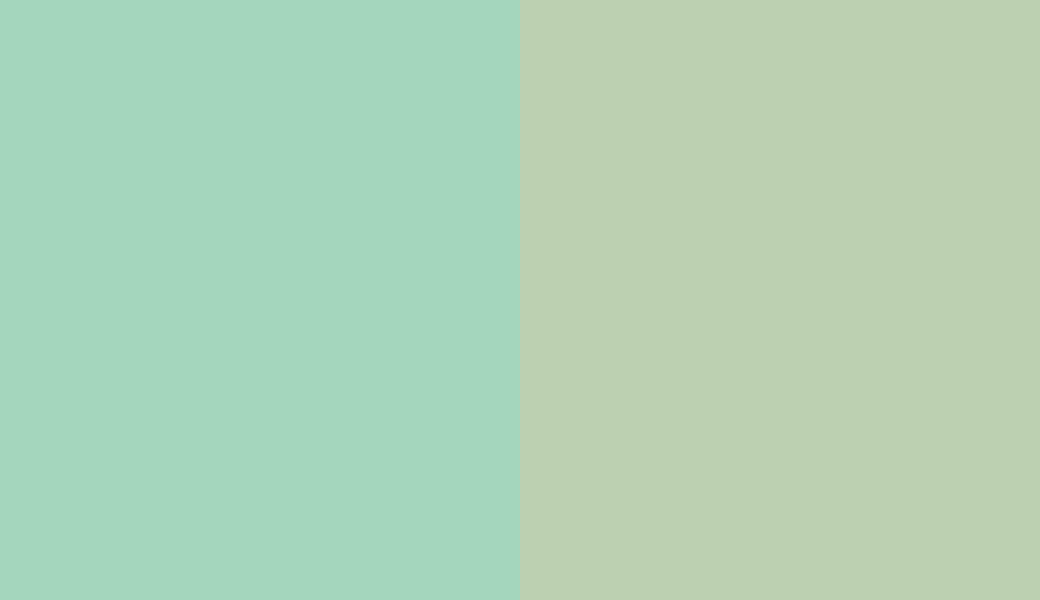 HEX #A4D6BD to RAL 6019 HEX #A4D6BD to RAL 6019