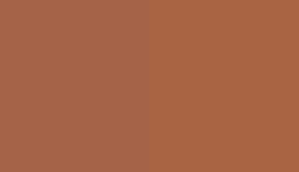 HEX #A56348 to RAL 8023 HEX #A56348 to RAL 8023