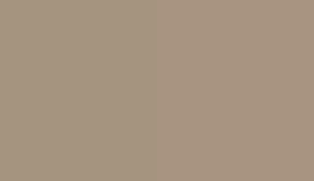 HEX #A5947F to RAL 1019