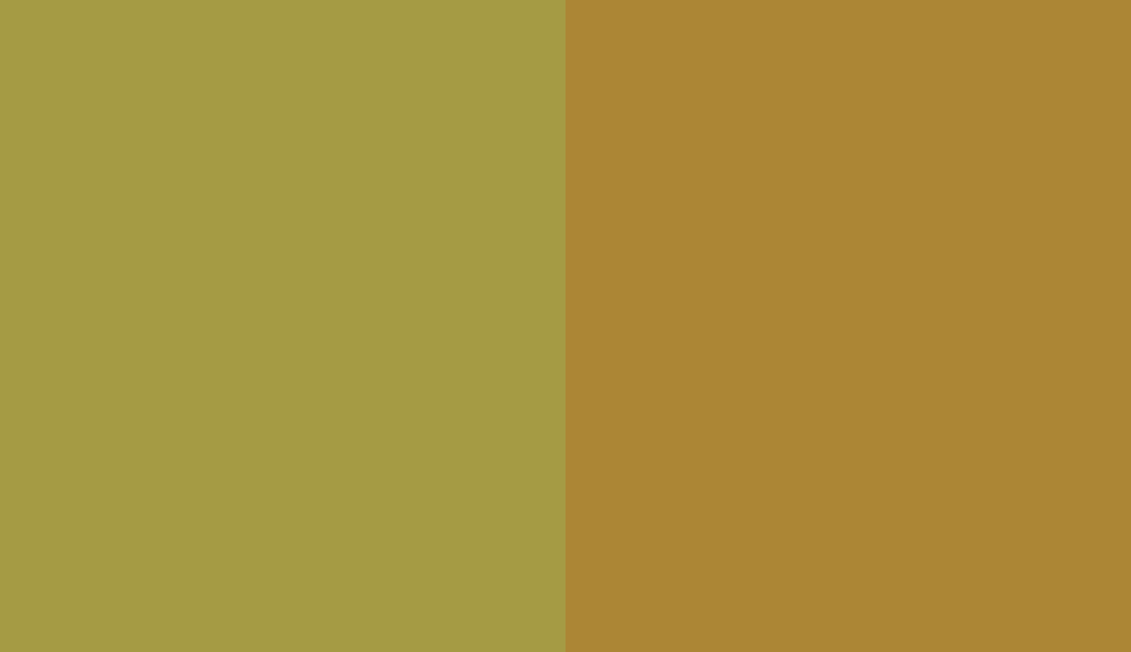 HEX #A59B44 to RAL 1027