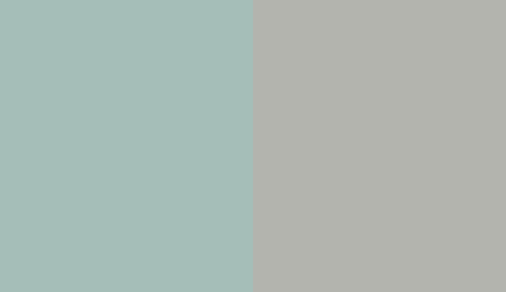 HEX #A5BEB8 to RAL 7038 HEX #A5BEB8 to RAL 7038