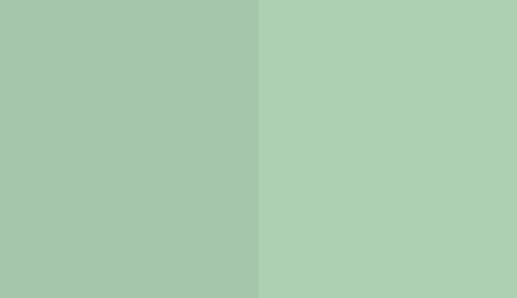 HEX #A5C6AA to RAL 150 80 20
