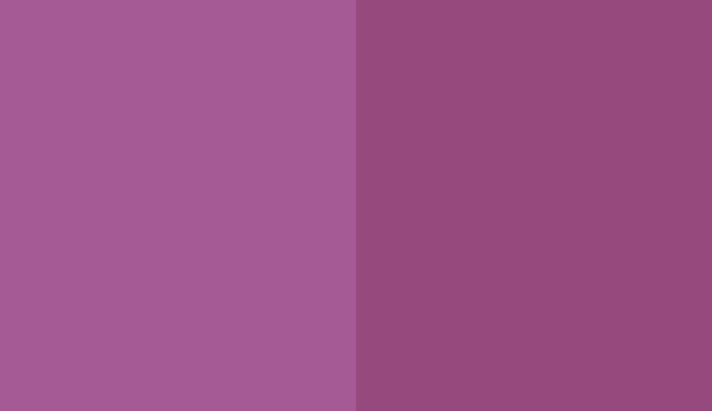HEX #A65A95 to RAL 4006